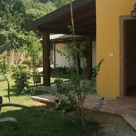 B&B Del Castagneto San Marco Argentano Εξωτερικό φωτογραφία