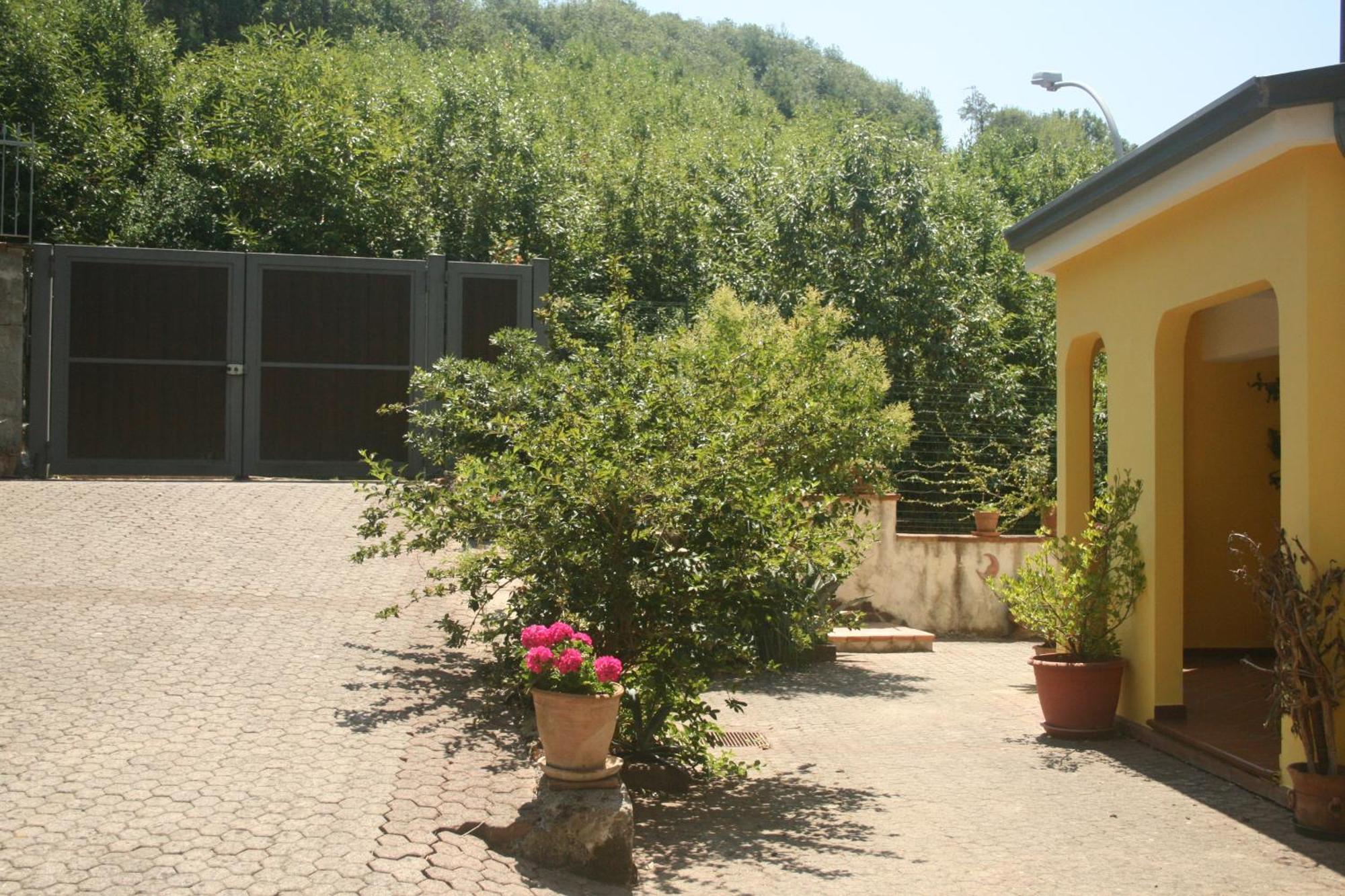 B&B Del Castagneto San Marco Argentano Δωμάτιο φωτογραφία